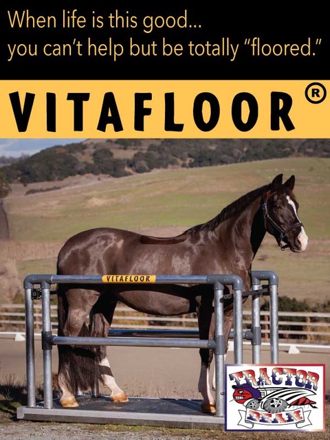 Vitafloor vibrating floor system at West Coast Footings